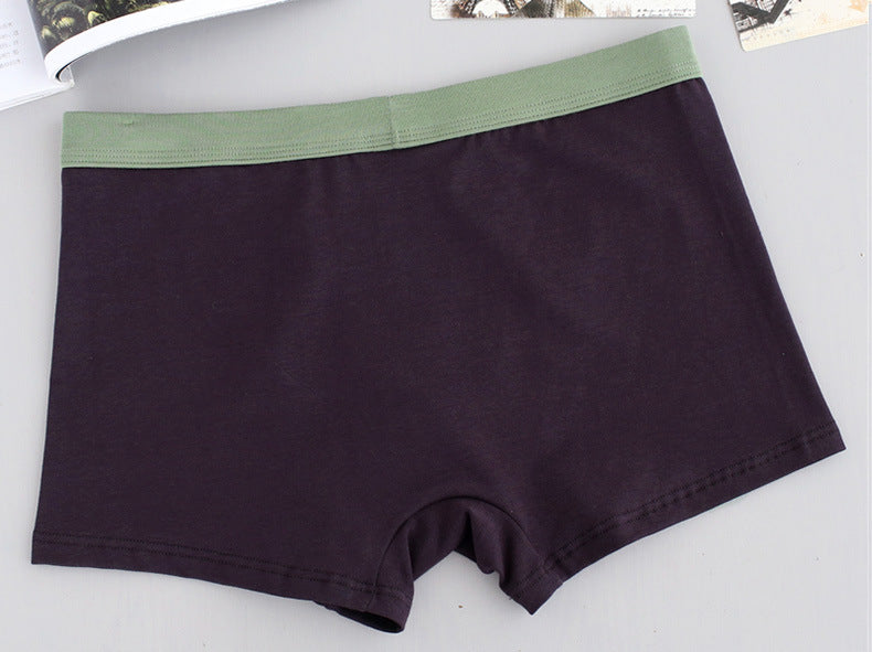 Men's breathable cotton boxer briefs by IBG, plus size men's underwear, showing comfortable fit and soft fabric.