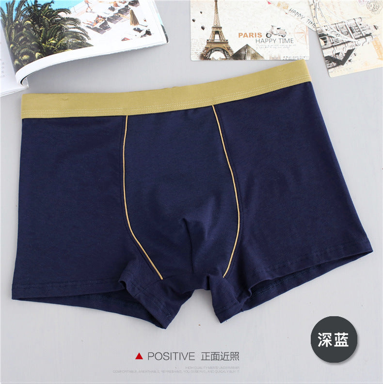 IBG men's cotton boxer briefs, breathable plus-size underwear with a comfortable fit, shown in a natural pose.