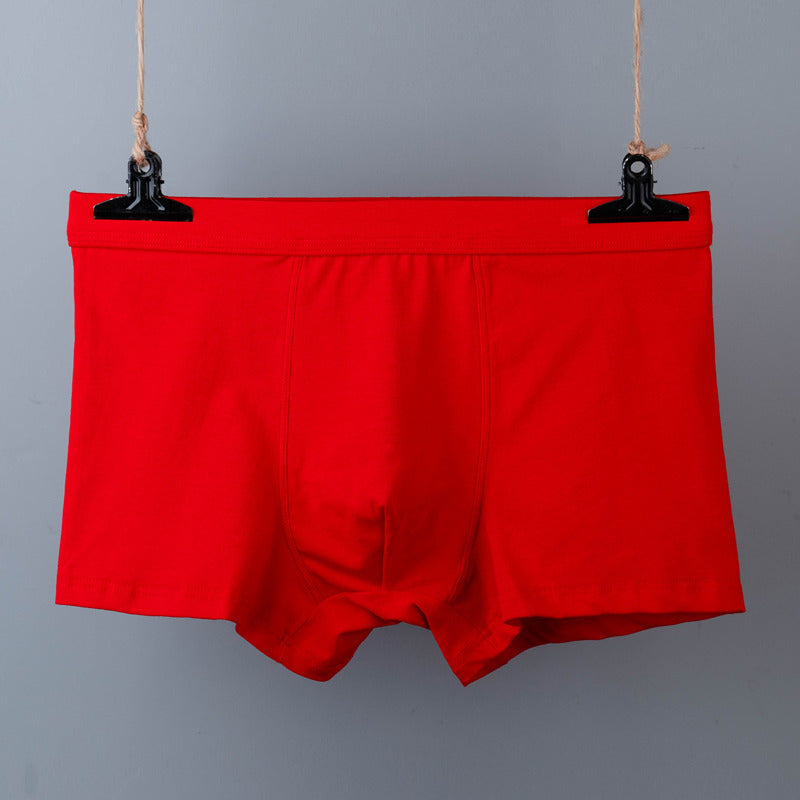 IBG men's cotton boxer briefs, breathable plus size underwear with comfortable fit, essential men's underwear in natural fabric.